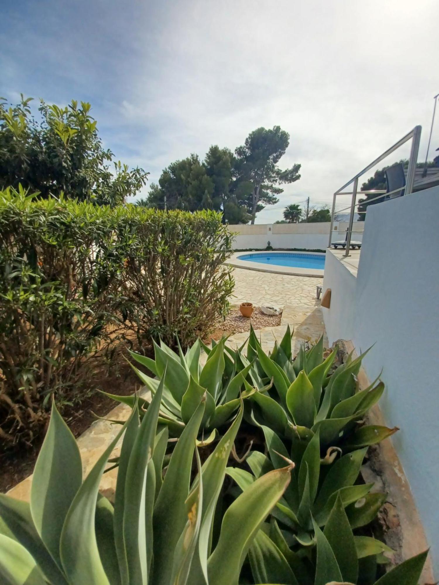 Vakantiehuis Pura Vida