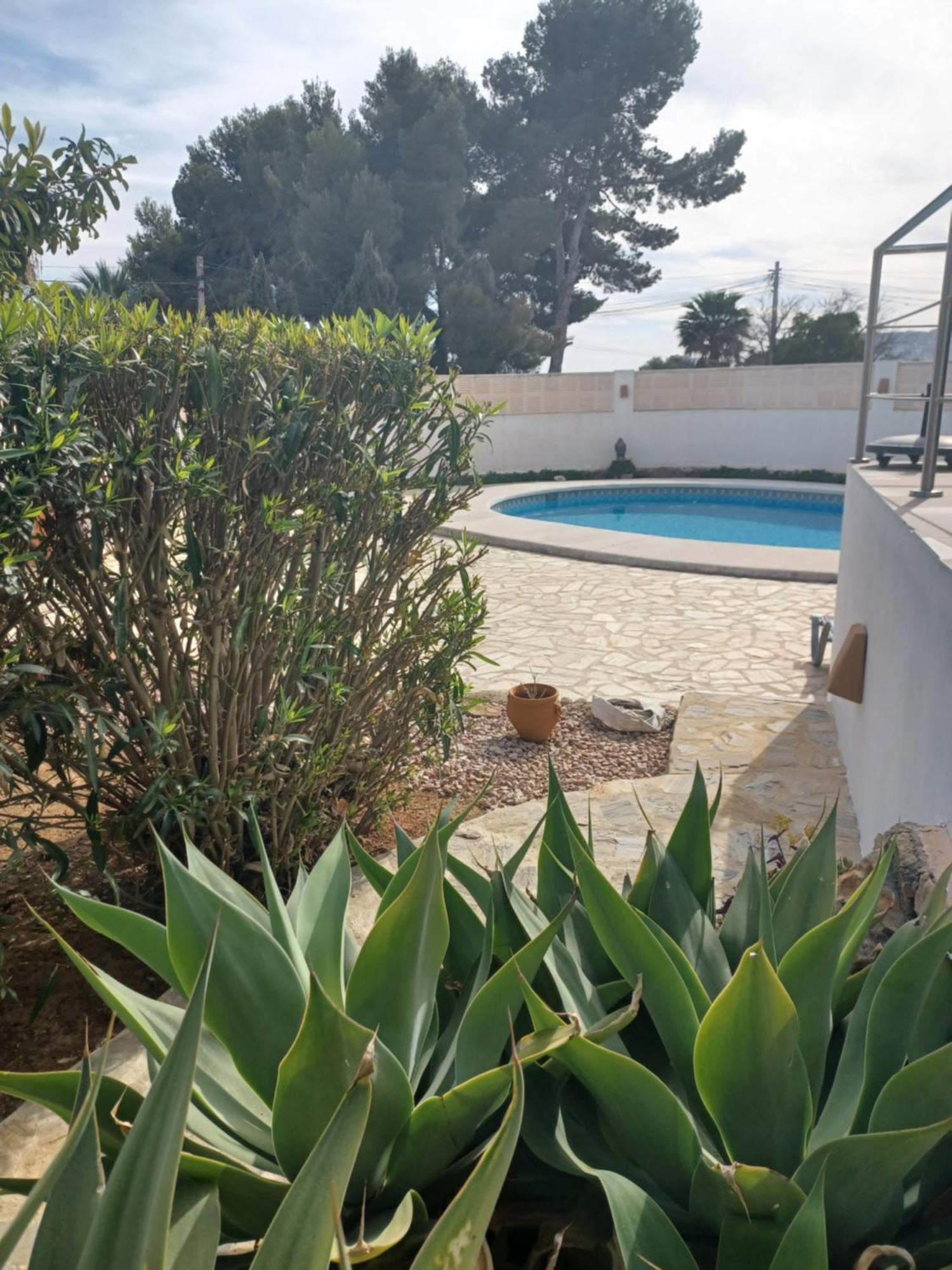Pura Vida Vakantiehuis